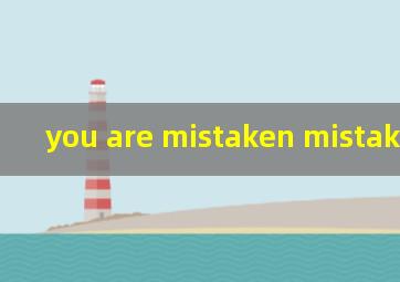 you are mistaken mistaken词性